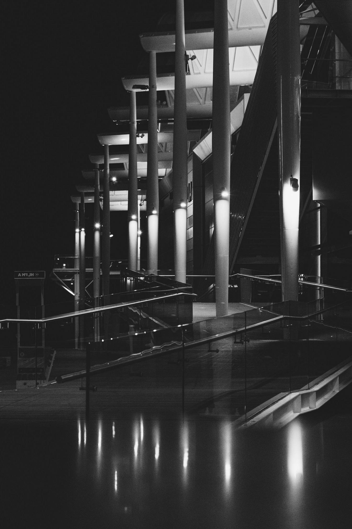 Blissflash Auckland Night